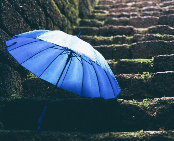 Highlights Widget Umbrella Highlights Widget Umbrella