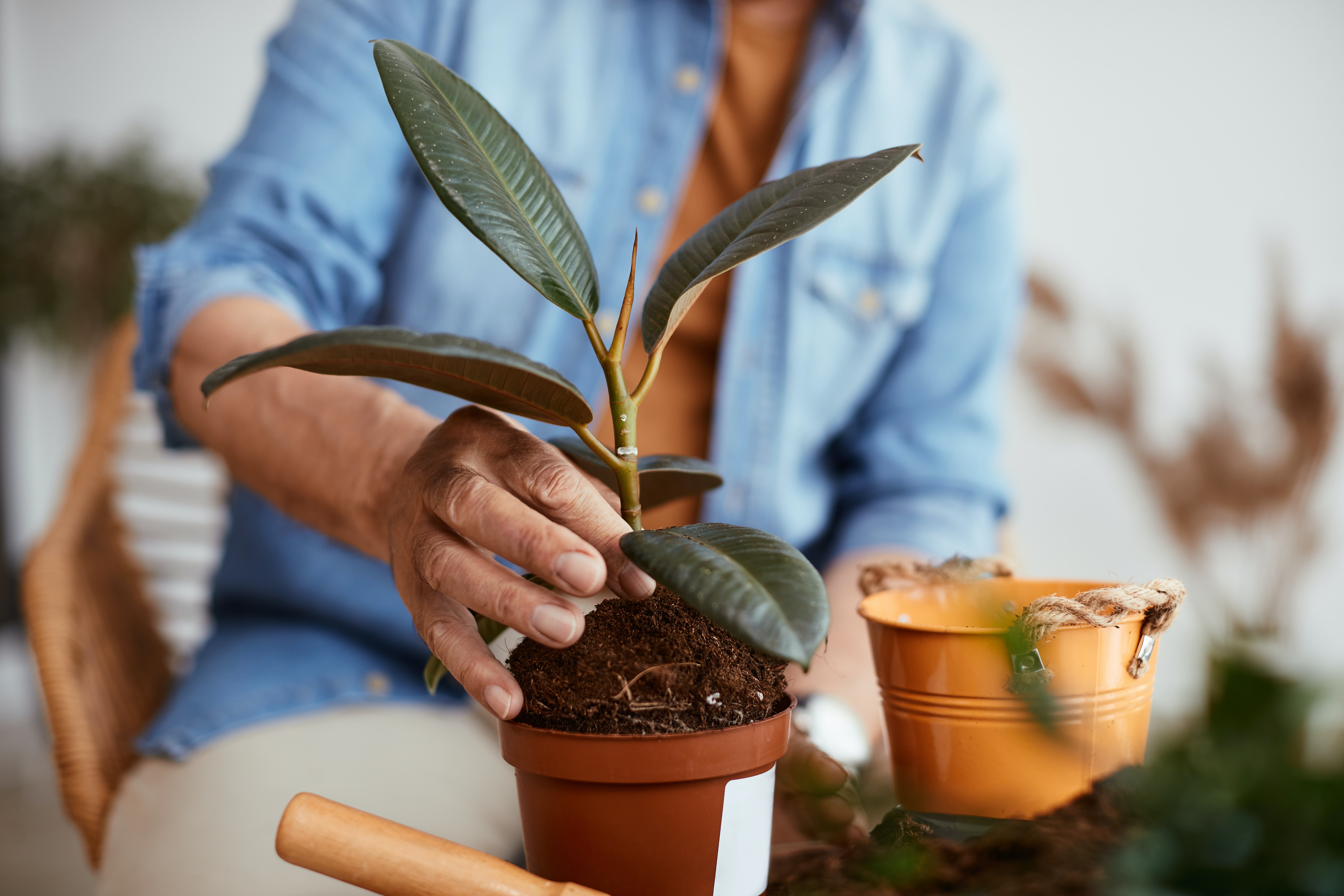 Getty Images M74ty5hbv6a Unsplash